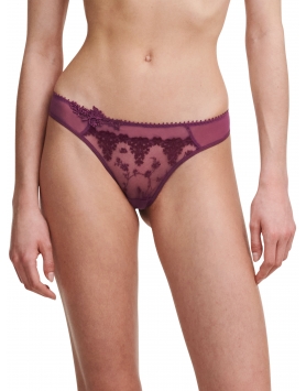 Stringi Passionata P40670