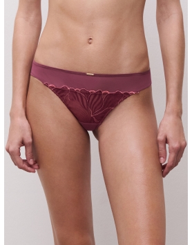 Stringi CHANTELLE C15YG0